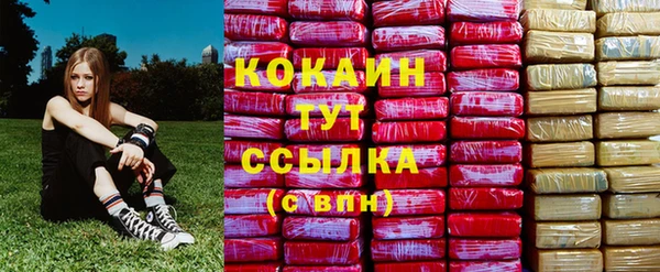 ГАЛЛЮЦИНОГЕННЫЕ ГРИБЫ Новодвинск