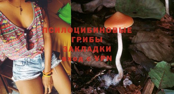 наркотики Новозыбков