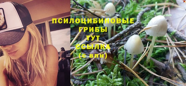ALPHA-PVP Няндома