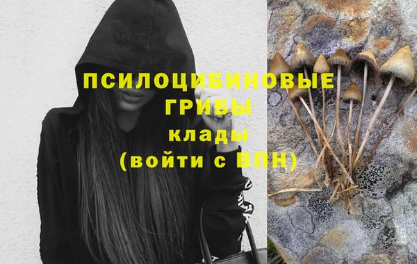 ГАЛЛЮЦИНОГЕННЫЕ ГРИБЫ Новодвинск